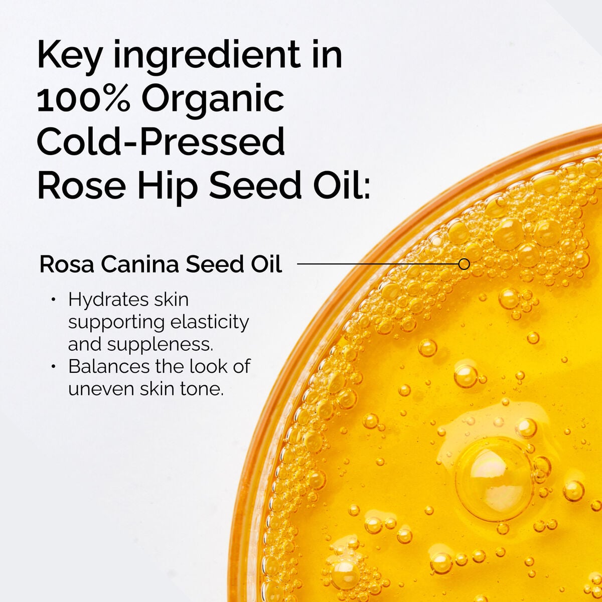 100-organic-cold-pressed-rose-hip-seed-oil-h4 FY25-D41247-ORD-Web-PDP-100-Rose-Hip-Oil-1x1-EN-2.jpg
