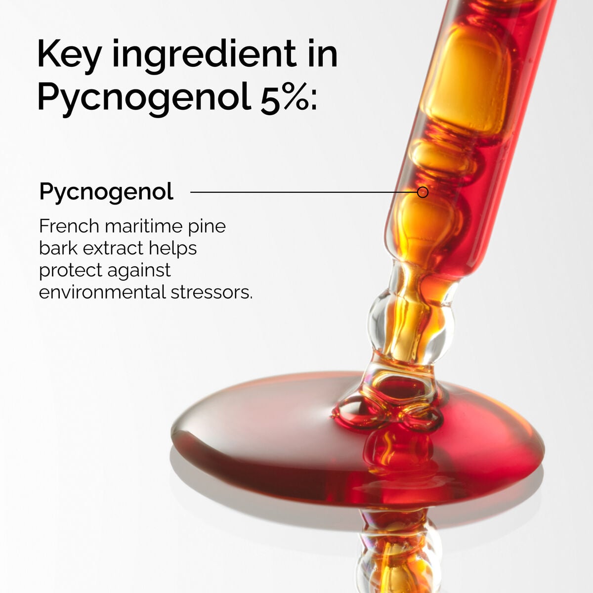 pycnogenol-5-x7 FY25-D41247-ORD-Web-PDP-Pyc-5pct-1x1-EN-2a.jpg