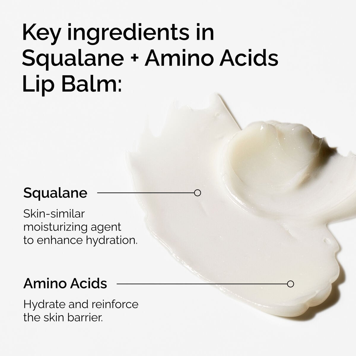 squalane-amino-acids-lip-balm-k3 FY25-D41247-ORD-Web-PDP-Sql-Amino-Lip-1x1-EN-2a.jpg