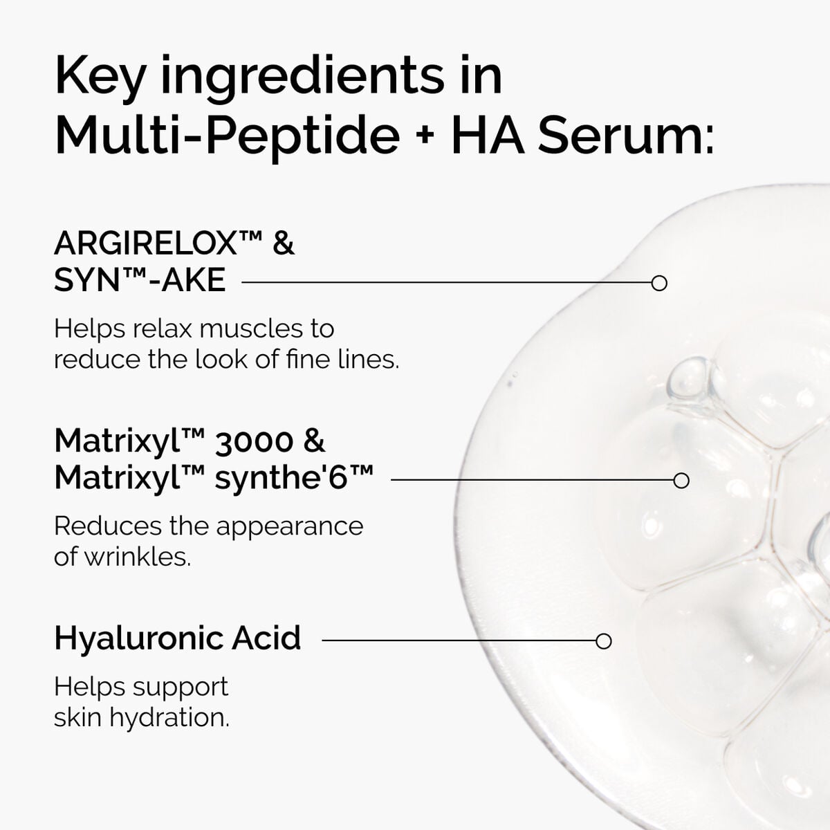the-age-support-set-n2 ord-multi-peptide-ha-ingredients-graphic.jpg