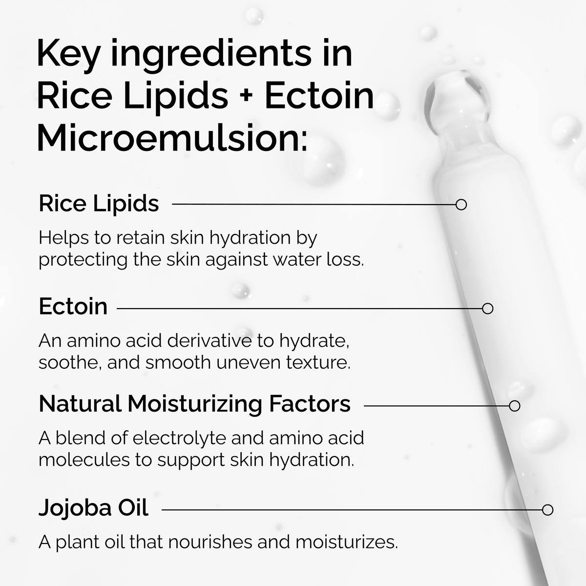 rice-lipids-ectoin-microemulsion-i6 ord-rice-lipids-ectoin-microemulsion-key-ingredients.png
