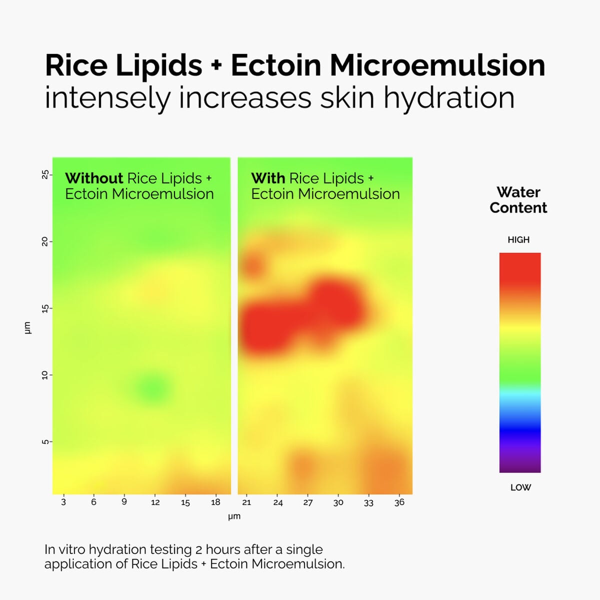 rice-lipids-ectoin-microemulsion-i6 ord-rice-lipids-ectoin-microemulsion-thermal-before-after.jpg